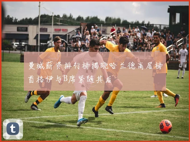 曼城薪资排行榜揭晓哈兰德高居榜首格伊与B席紧随其后