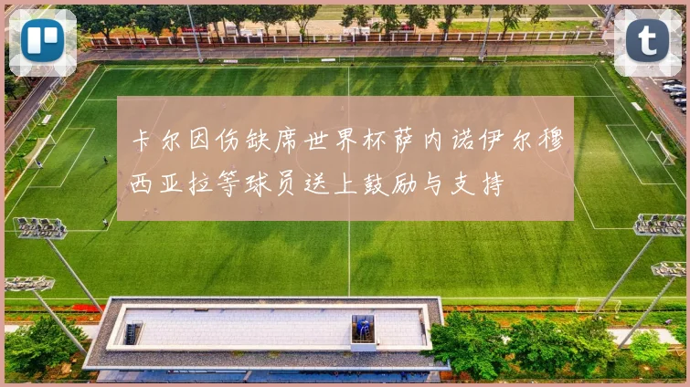 卡尔因伤缺席世界杯萨内诺伊尔穆西亚拉等球员送上鼓励与支持
